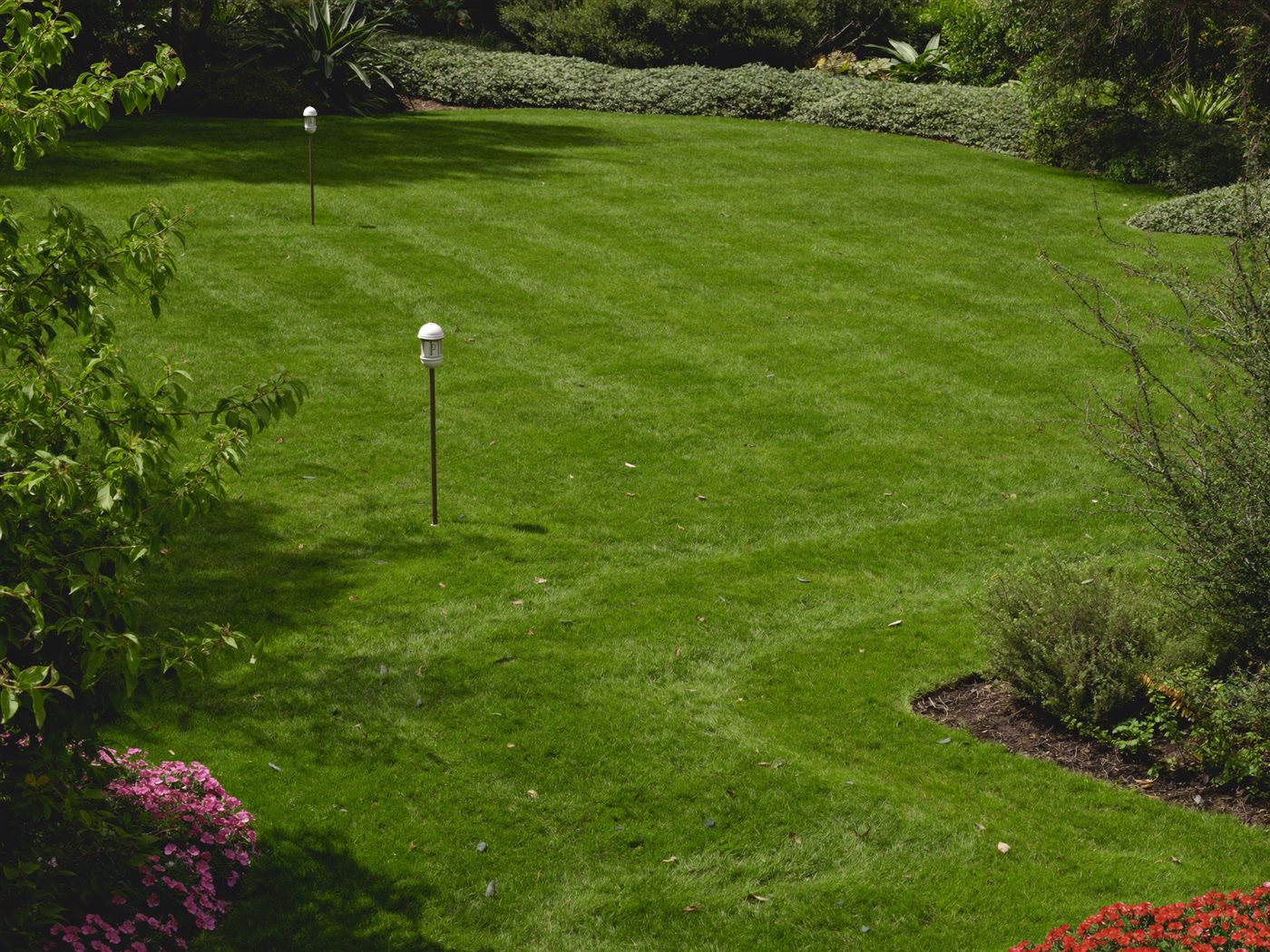 PflegeGrün